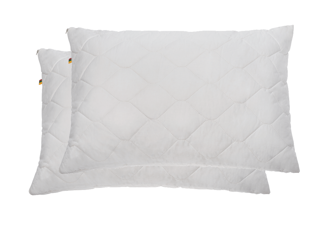 RINKINYS COMCO dvi 50×70 pagalvės daigstytos šilku
